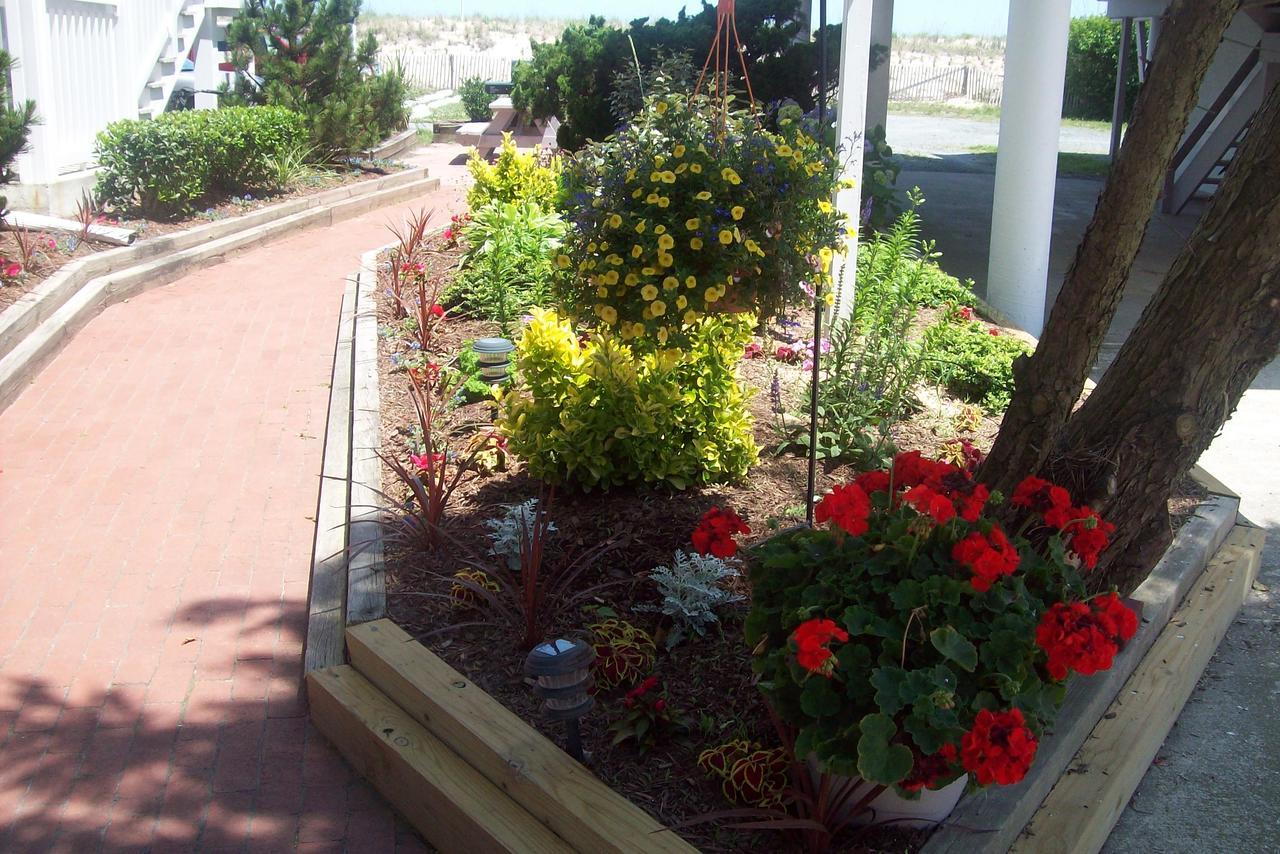 דיואי ביץ' Adams Ocean Front Resort מראה חיצוני תמונה